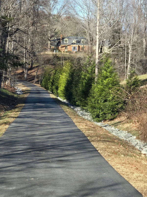 Driveway Solutions for Pavement Needs